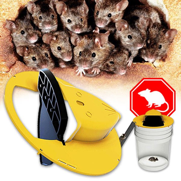 Mousetrap – Pasca na myši a potkany