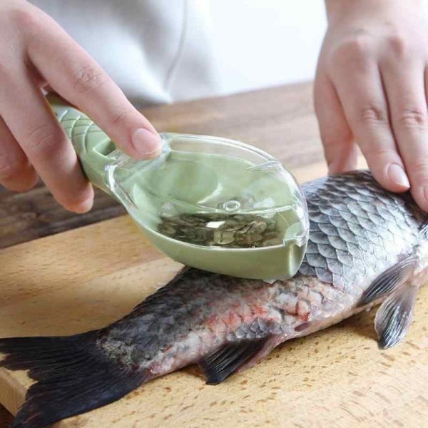 Fish scale remover – Zariadenia na čistenie rybích šupín