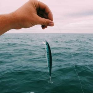 3D Fish Bait – Návnada s 3D rybími oči (1+1 GRATIS) 03