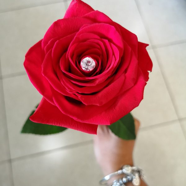 Rose flower – Kvet ruže pre ženu